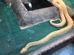 -上海大自然野生昆虫馆