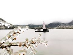 -大九湖