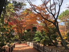 -名古屋城