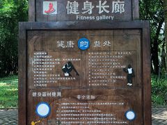 -万绿园