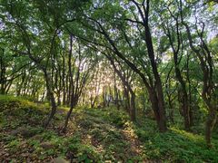 -汤山公园