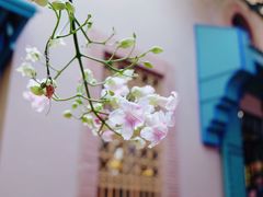 -马洛雷勒花园