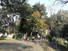 -重庆平顶山公园