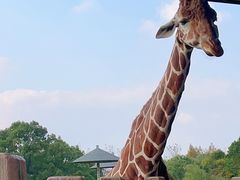 -宁波野生动物园