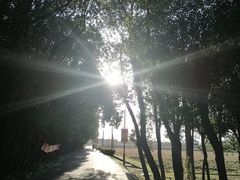 -嘉北郊野公园