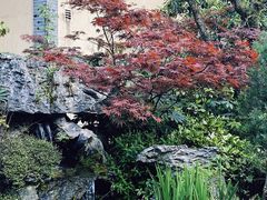 -新荣记(西溪湿地店)