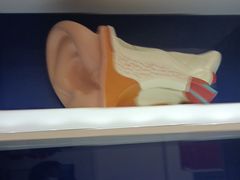 -安湃声助听器(密云店)