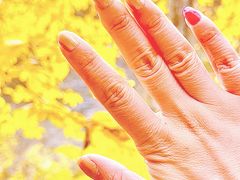 -叠溪松坪沟景区