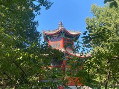 -宣武艺园