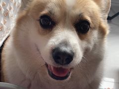 -布莉安石窑面包(中山路店)