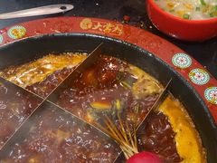 -矮板凳老火锅(宽窄巷子店)