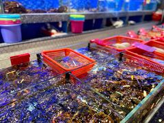 -鑫阿强海鲜大排档·老厦门特色菜(中山路店)