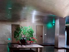 -隐溪茶馆(静安寺店)
