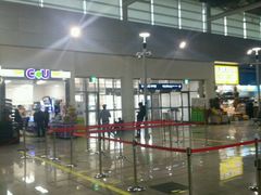 -吴淞口国际邮轮码头-停车场