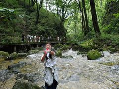 -牛背梁国家森林公园