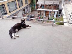 -大理床单厂艺术区