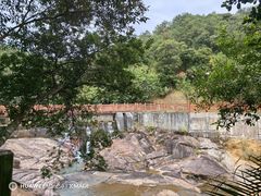 -广州白江湖森林公园