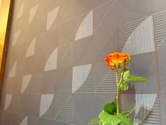 -栾氏荟(柳园店)