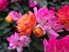 -闽江夜游台江旅游码头