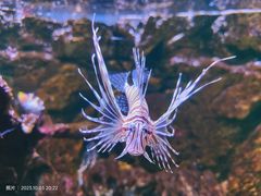 -海合安天津极地海洋公园