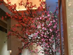 -觅唐MITONG(鸟巢店)
