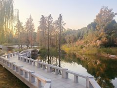 -澹台湖公园