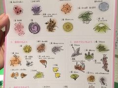-东京国立博物馆