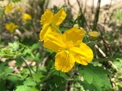 -碓臼峪自然风景区