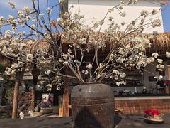 -悦哉·派对·草坪婚礼·围炉煮茶(三圣乡店)