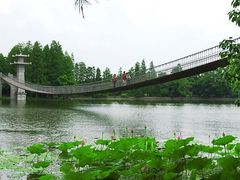-东湖落雁景区