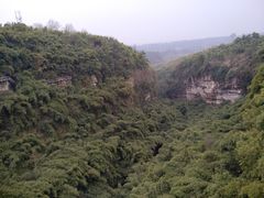 -川西竹海景区