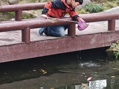 -陈家山荷花公园
