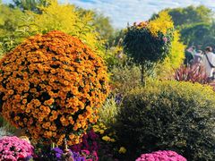 -上海共青森林公园