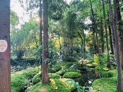 -成都市活水公园