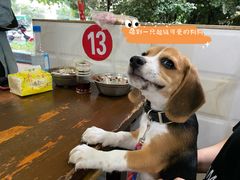 -凡老头米线砂锅(古荡新村西粮站)