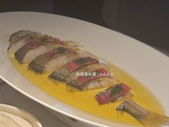 -桂满陇·海市蜃楼·黑金(国金店)