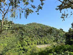 -火炉山森林公园