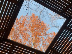 -春晖园度假酒店温泉