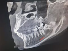 -牙博士口腔品牌连锁(杨浦店)