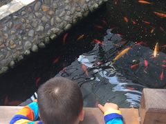 -上海多利农业发展有限公司