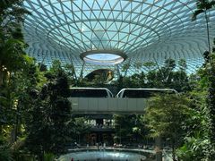-樟宜机场免税店