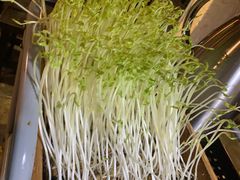 -老表记广西宵夜螺蛳鸭脚煲(西大店)