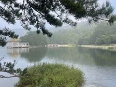 -庐山风景区花径公园