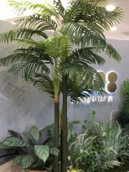 -八佰伴8008星级形象店