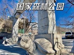 -蟒山国家森林公园-停车场