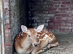 -意大利农场度假村