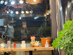 -屯屯面(海尔路店)