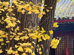 -红螺寺