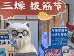 -长风拨筋养身(金虹桥店)