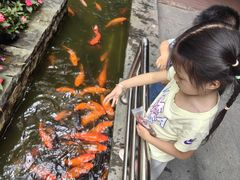 -南宁荔园维景国际酒店·荔园中餐厅